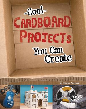 Cover of the book Cool Cardboard Projects You Can Create by Tracey Steffora