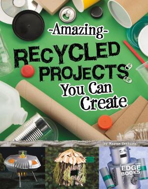 Cover of the book Amazing Recycled Projects You Can Create by Michael Anthony Steele