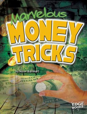 Cover of the book Marvelous Money Tricks by Jake Maddox