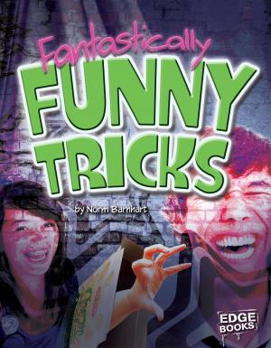 Cover of the book Fantastically Funny Tricks by Matthew John Doeden