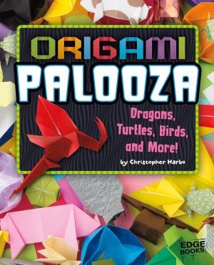 Cover of the book Origami Palooza by Michael Dahl