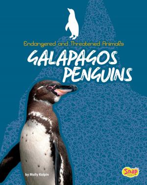 Book cover of Galapagos Penguins