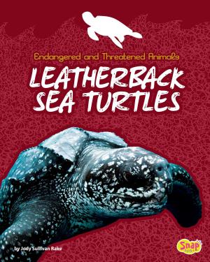 Cover of the book Leatherback Sea Turtles by Diane Zahler
