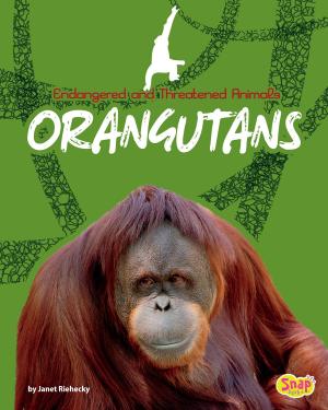 Cover of the book Orangutans by Jennifer Lynn Jones