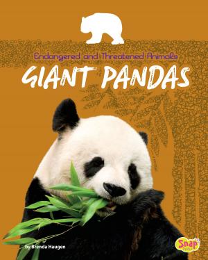 Cover of the book Giant Pandas by John Sazaklis