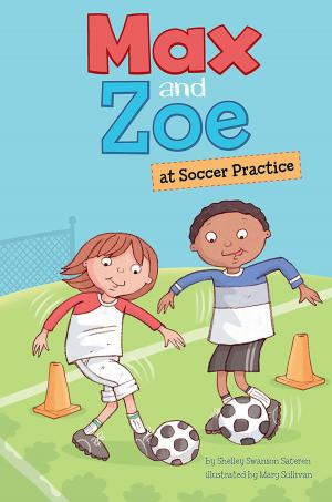 Book cover of Max and Zoe at Soccer Practice