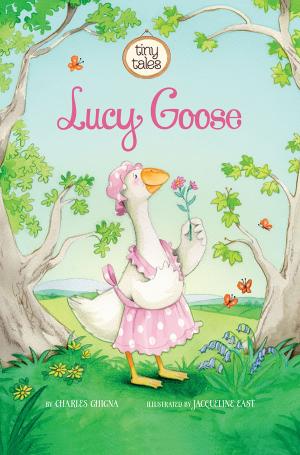 Cover of the book Lucy Goose by Kim Kane