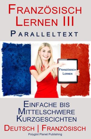 Cover of Französisch Lernen III - Paralleltext - Einfache bis Mittelschwere Kurzgeschichten (Deutsch - Französisch)