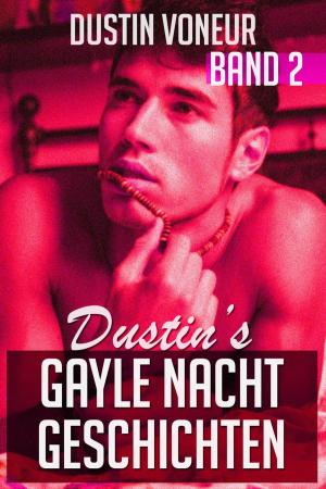 Cover of the book Dustin's Gayle Nacht Geschichten: Band 2 by Aster Zhen