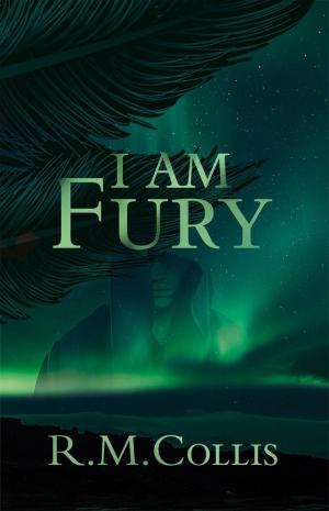 Cover of the book I Am Fury by Nathaniel Blood