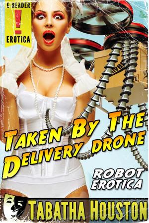 Cover of the book Taken By The Delivery Drone by Rose Horner