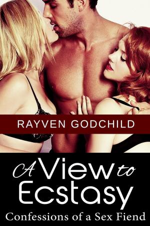 Cover of the book A View to Ecstasy by Jessica Lansdown