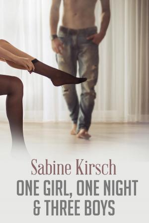 bigCover of the book One Girl, One Night & Three Boys [Erotik] by 