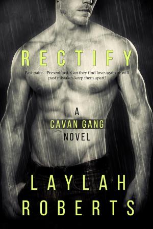 Cover of the book Rectify by Lisa Shiroff