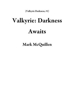 Cover of the book Valkyrie: Darkness Awaits by Theresa Searcaigh