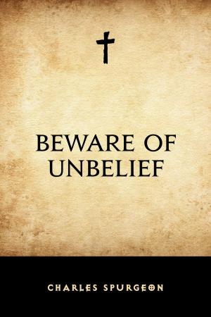 bigCover of the book Beware of Unbelief by 