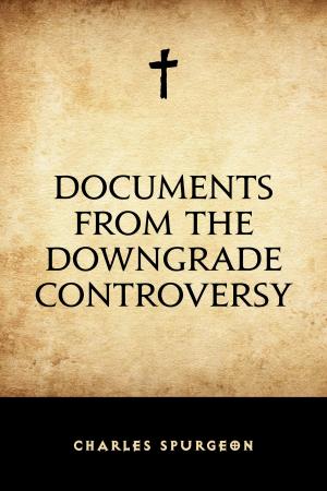 Cover of the book Documents from the Downgrade Controversy by Elinor Glyn