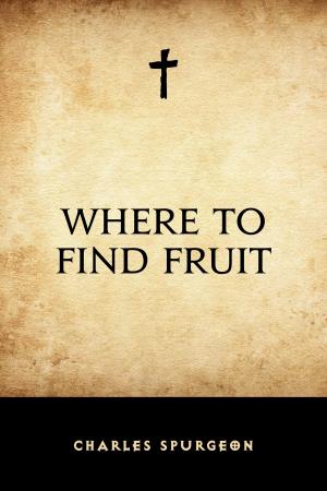 Cover of the book Where to Find Fruit by William Milligan Sloane