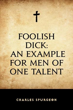 Cover of the book Foolish Dick: An Example for Men of One Talent by H. Irving Hancock
