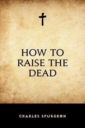 Cover of the book How to Raise the Dead by Frances Hodgson Burnett