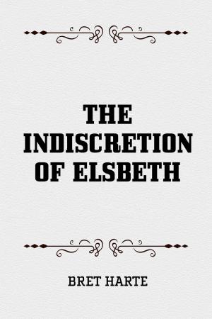 Cover of the book The Indiscretion of Elsbeth by Joseph Burgo