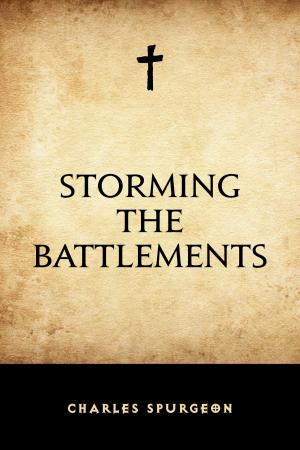 Cover of the book Storming the Battlements by Frank Richard Stockton