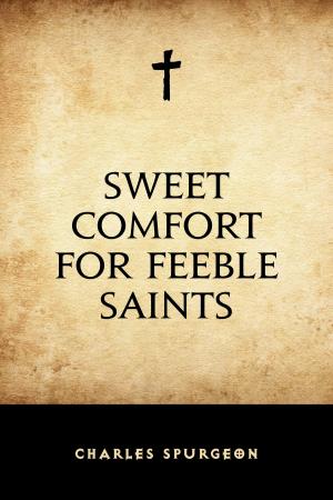 Book cover of Sweet Comfort for Feeble Saints