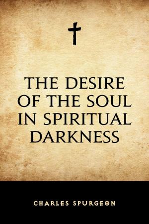 Cover of the book The Desire of the Soul in Spiritual Darkness by Sylvie Bessette
