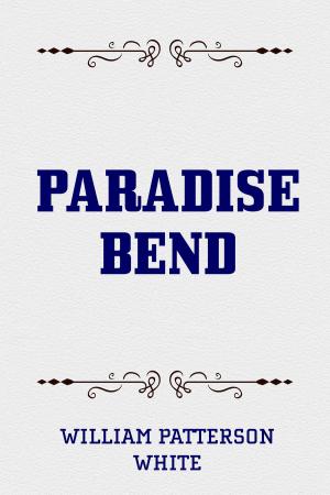 Book cover of Paradise Bend