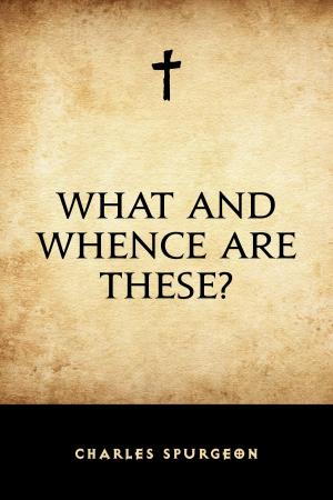 Cover of the book What and Whence Are These? by E. Phillips Oppenheim