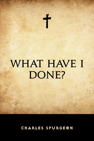 Book cover of What Have I Done?