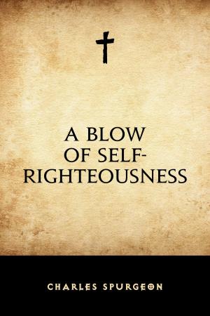 Book cover of A Blow of Self-Righteousness