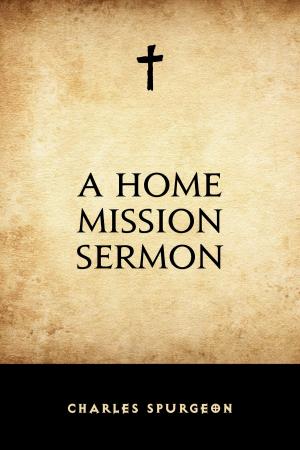 Book cover of A Home Mission Sermon