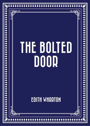 Cover of the book The Bolted Door by Gunter Pirntke