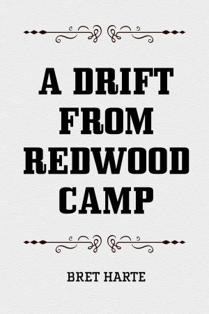Cover of A Drift from Redwood Camp