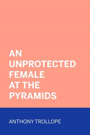 Cover of the book An Unprotected Female at the Pyramids by Arthur Scott Bailey