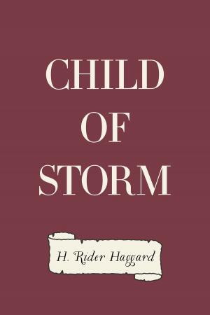 Cover of the book Child of Storm by William MacLeod Raine