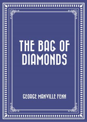 Book cover of The Bag of Diamonds