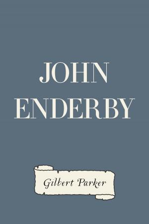 Cover of the book John Enderby by Elizabeth Robins