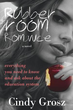 Cover of the book Rubber Room Romance by Adam Slutsky