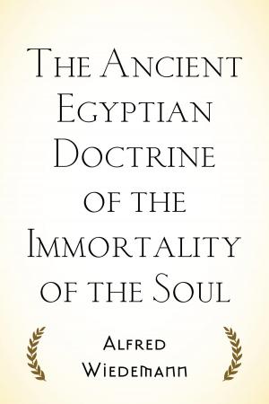 Cover of the book The Ancient Egyptian Doctrine of the Immortality of the Soul by Booker T. Washington