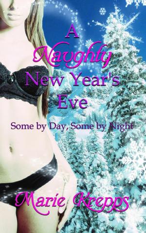 Book cover of A Naughty New Year's Eve