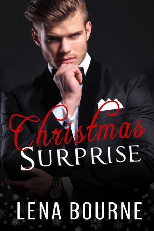 Cover of the book Christmas Surprise by jamieayque