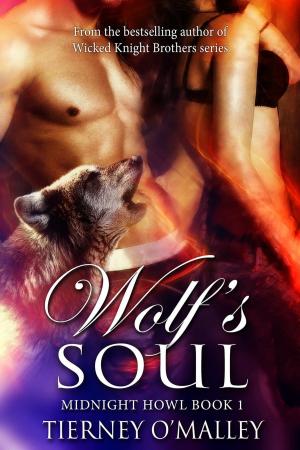 Cover of the book Wolf's Soul by David Addleman