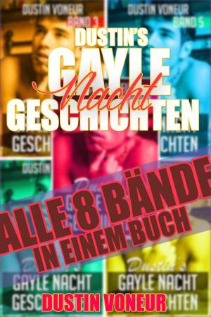 Cover of the book Dustin's Gayle Nacht Geschichten: Alle 8 Bände in einem Buch by Dustin Voneur