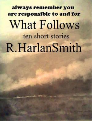 Cover of the book What Follows by R Smith