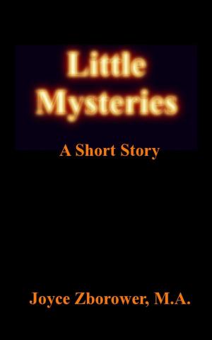 bigCover of the book Little Mysteries -- A Short Story by 