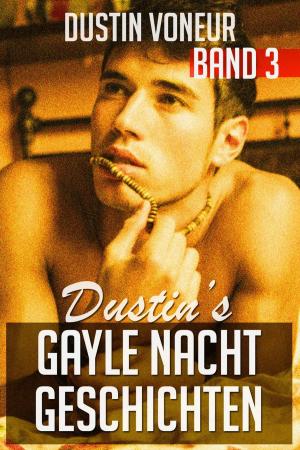 Cover of the book Dustin's Gayle Nacht Geschichten: Band 3 by Sean Geist