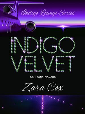 Book cover of Indigo Velvet