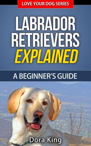 Cover of the book Labrador Retrievers Explained - A Beginner’s Guide by Tony Alavon